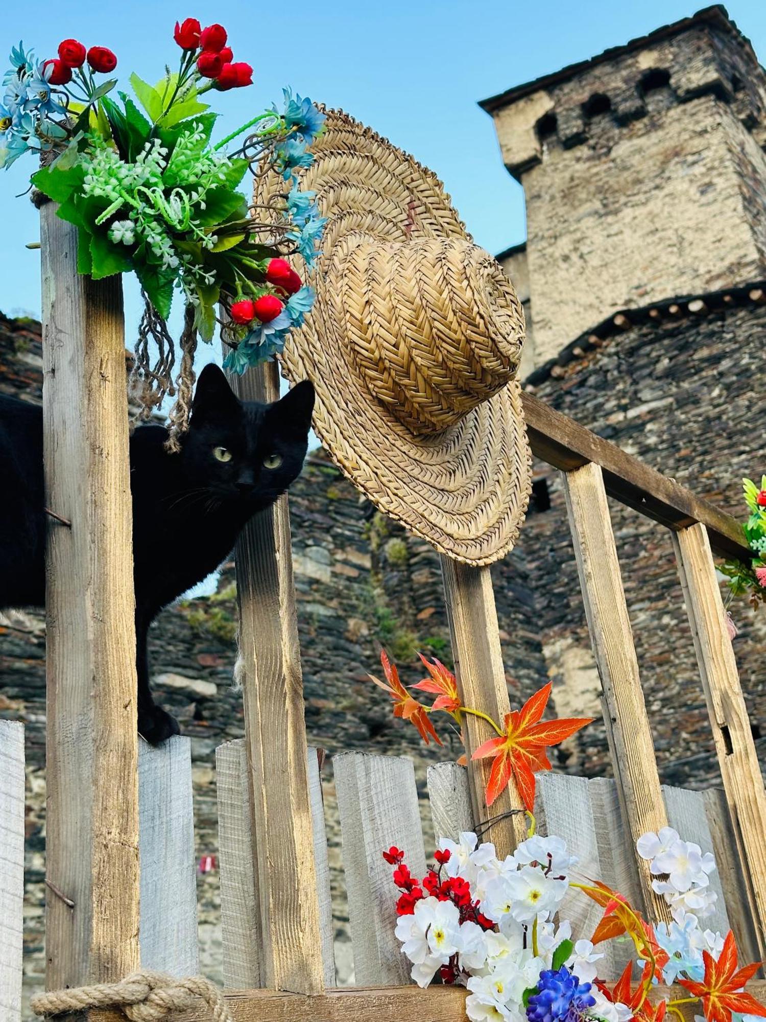 Nanila Otel Ushguli Dış mekan fotoğraf